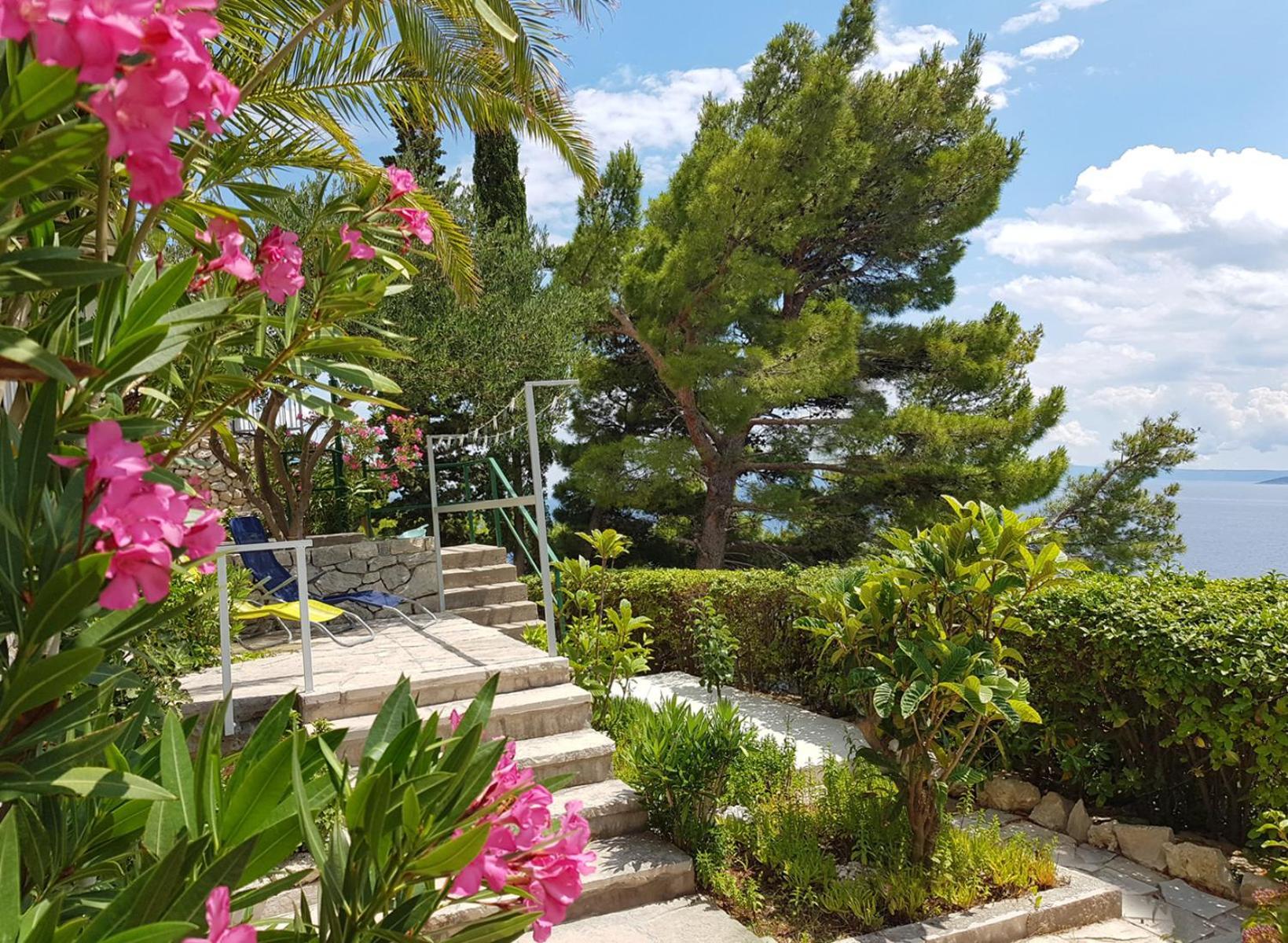 Villa Skalinada With Sea View เบรลา ห้อง รูปภาพ